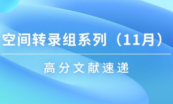 十一月高分文獻(xiàn)速遞 | 空間轉(zhuǎn)錄組系列