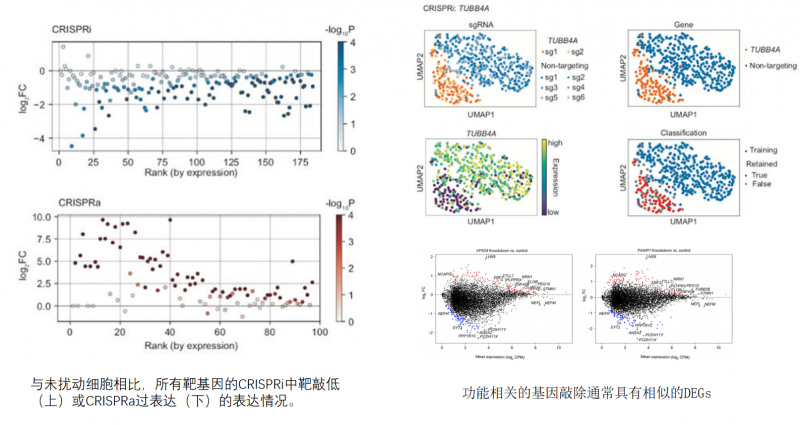 企業(yè)微信截圖_17667425419735