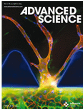 Therapeutic Black Phosphorus Nanosheets Elicit Neutrophil Response for Enhanced Tumor Suppression