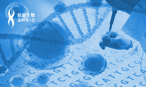 單細(xì)胞測(cè)序技術(shù)與應(yīng)用專題研討會(huì)