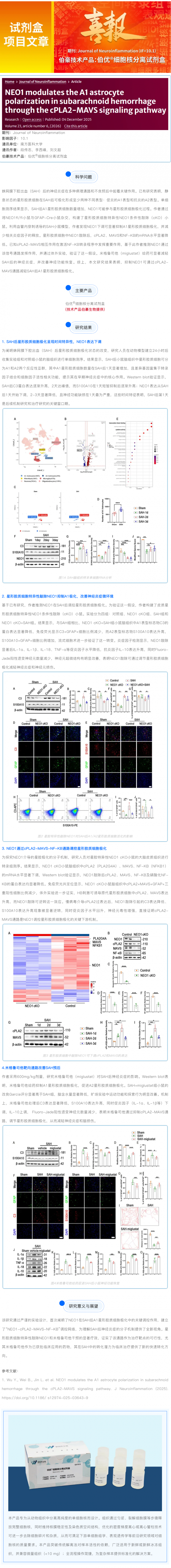 試劑盒項(xiàng)目文章 _ NEO1 通過 cPLA2-MAVS 信號(hào)通路調(diào)控蛛網(wǎng)膜下腔出血中 A1 型星形膠質(zhì)細(xì)胞極
