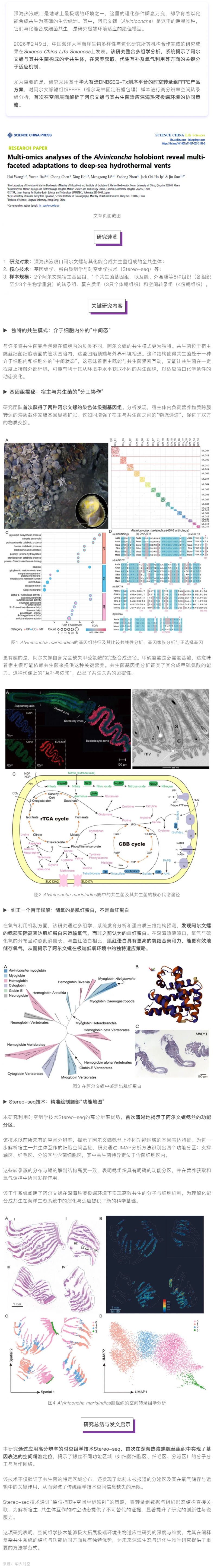 SCLS _ 深海生存奇跡！Stereo-seq 助力揭示阿爾文螺共生奧秘