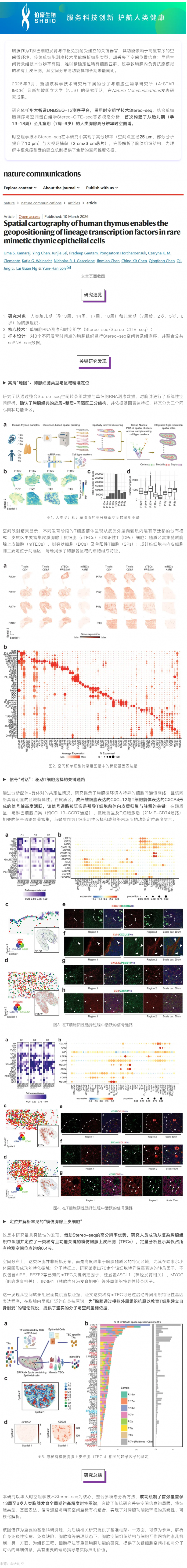 首個高分辨率人類胸腺時空圖譜！Stereo-seq 助力揭秘罕見細(xì)胞調(diào)控網(wǎng)絡(luò)