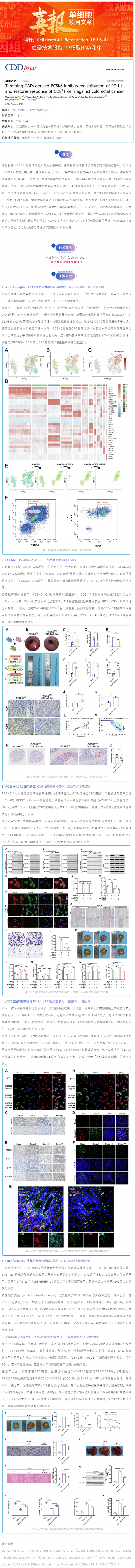 單細胞項目文章︱靶向 CAFs 來源的 PCSK6 抑制 PD-L1 膜重分布并恢復 CD8+ T 細胞抗結直腸癌免疫