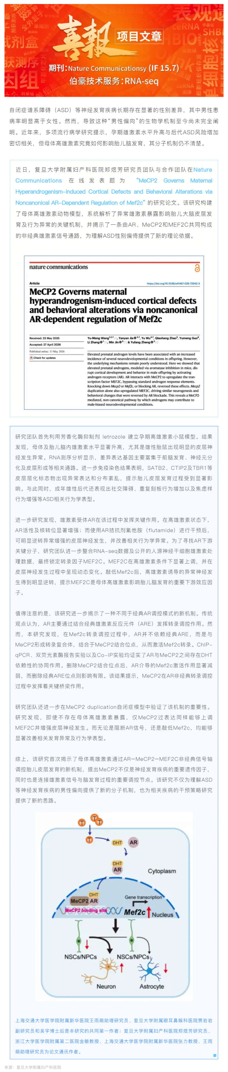 項目文章 _ 鄭煜芳研究員與合作團隊破解自閉癥“男性偏向”機制