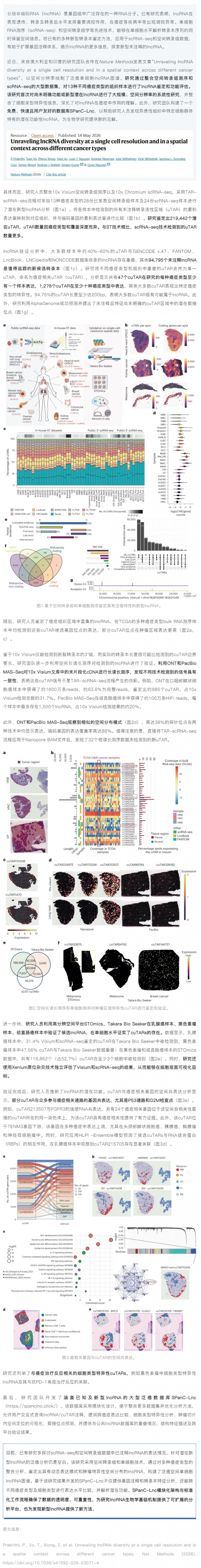Nat Methods&nbsp;_ 首個(gè)泛癌空間單細(xì)胞 lncRNA 圖譜成功繪制，覆蓋 13 種癌癥、22 萬(wàn)潛在 l