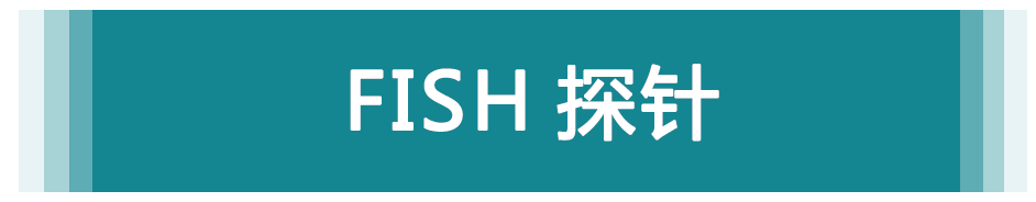 FISH 探針